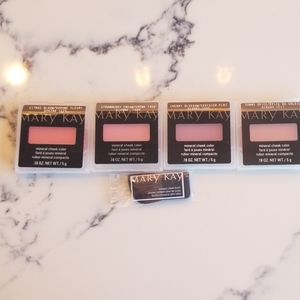 Lot of 4 Mary Kay Mineral Cheek Colors with Brush